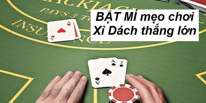 Cách Chơi Xì Dách Cách chơi Xì Dách online tại Net88