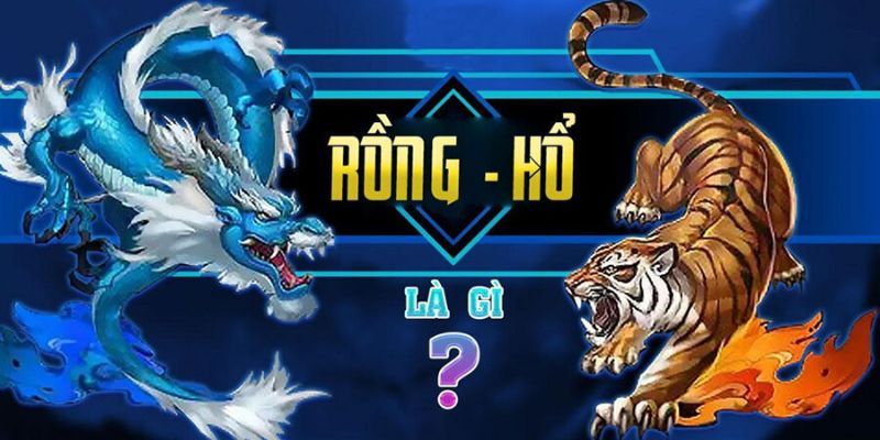 Rồng hổ Net88 Giới thiệu về Rồng hổ Net88