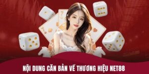 Lý do lựa chọn Nhà cái Net88